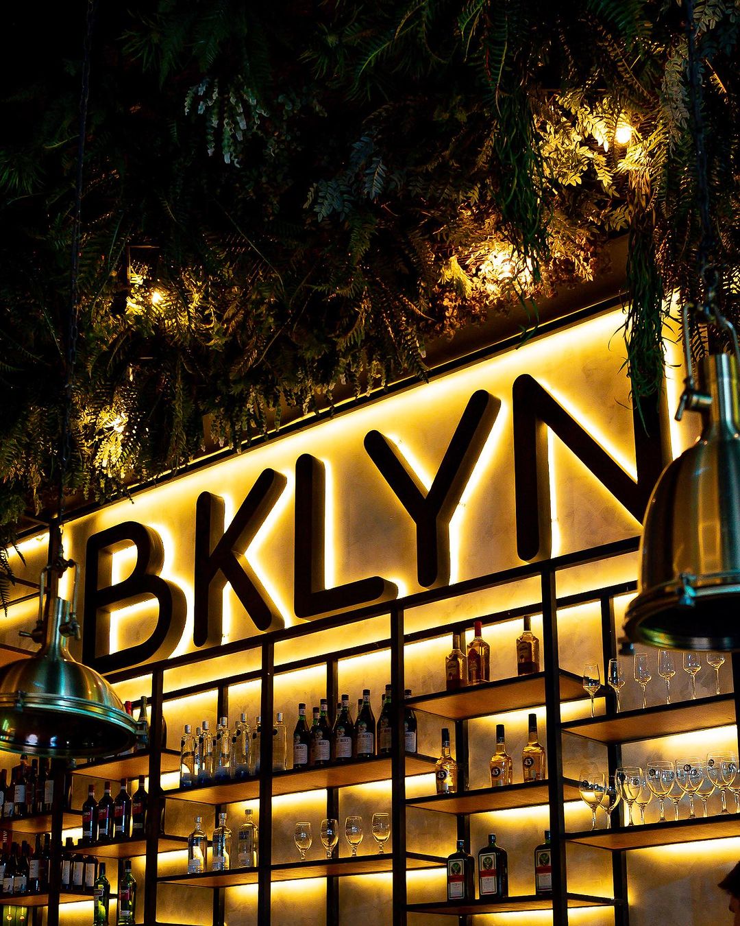 ¡Brooklyn CDE llega a la New Zone!